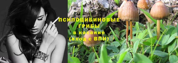 каннабис Алексеевка